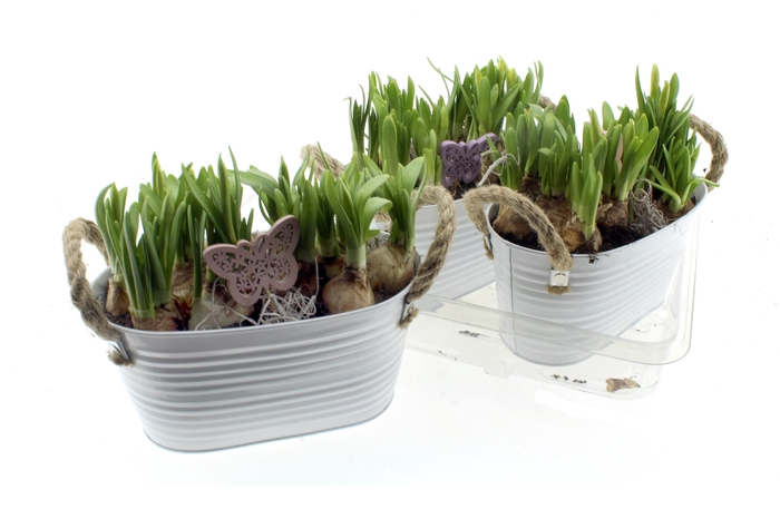 <h4>ARR N TETE A TETE</h4>