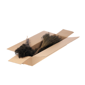Broom Bloom Bunch Sb Deep Brown