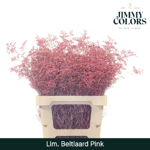 <h4>Lim Bel L70 Pink</h4>