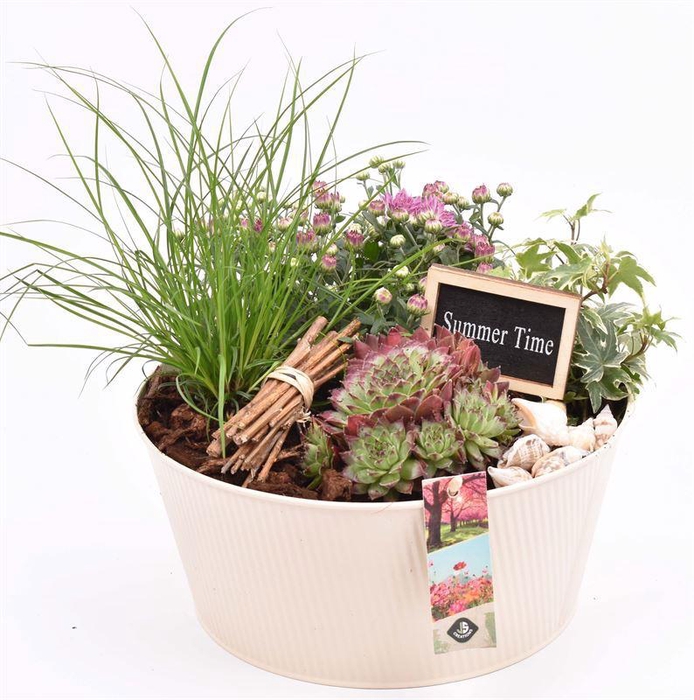 <h4>Zink schaal ribbel creme 25cm</h4>