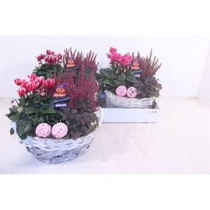 ARR GARDEN BASKET X2