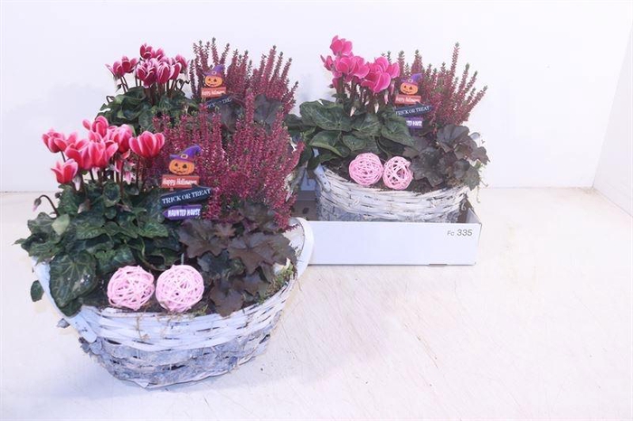 <h4>ARR GARDEN BASKET X2</h4>