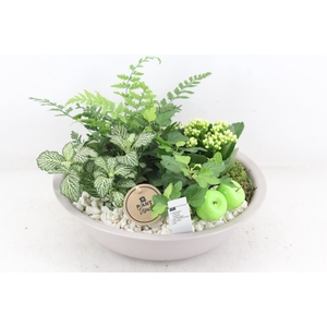 arr2 PL - Zink taupe schaal - wit