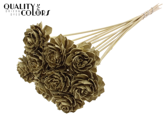 Shola Dahlia 6cm on stem Gold