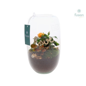 Green Bottle Isabella Medium Love met arrangement