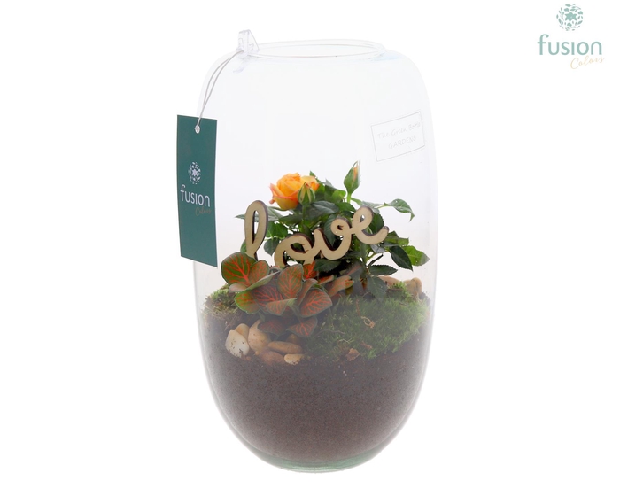 <h4>Green Bottle Isabella Medium Love met arrangement</h4>