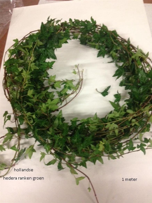 <h4>Hedera H Blad</h4>