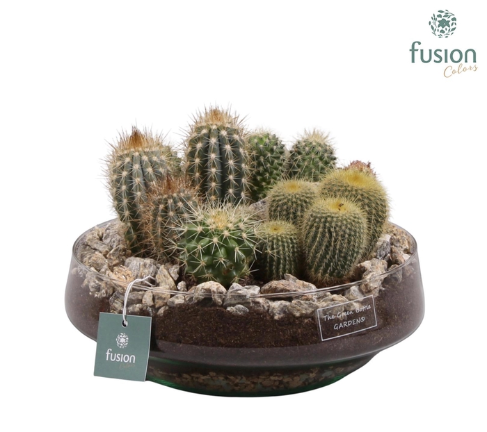 <h4>Green Bottle</h4>