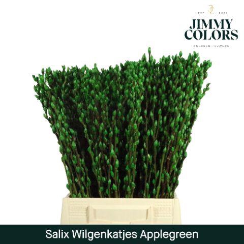 <h4>Salix Katjes L50 Apple green</h4>