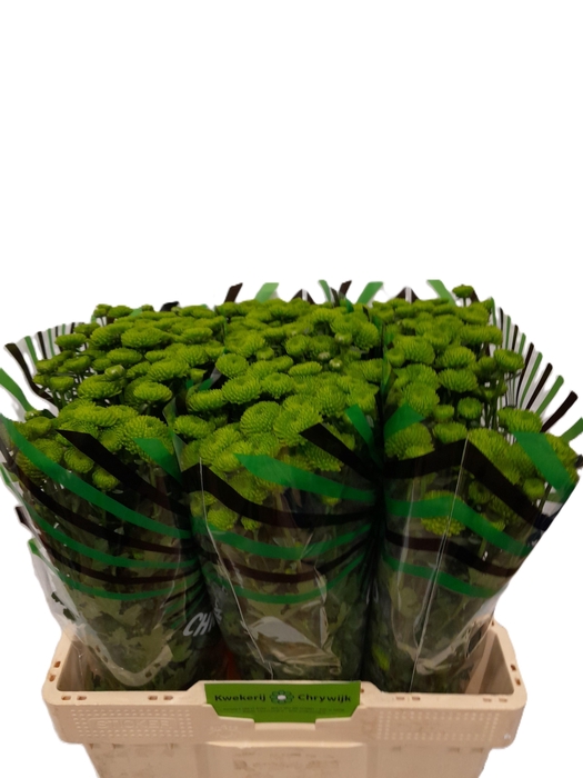 <h4>CHR S AAA PEPTALK</h4>