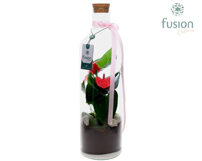 <h4>Green Bottle Fles Large Love met Anthurium</h4>