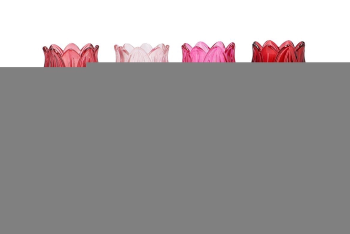 Bicolore Dutch Pink Mix Tulip Vase Ass 7x22cm Nm
