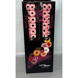 GE MI DIXON Aquabox *160