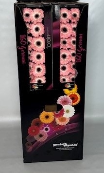 <h4>GE MI DIXON Aquabox *160</h4>