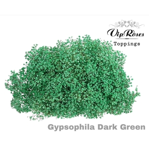 Gyps Pa Dark Green