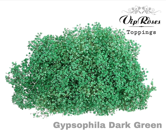 <h4>Gyps Pa Dark Green</h4>