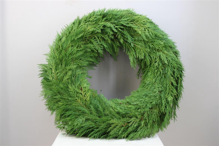 <h4>Krans Conifeer 60</h4>