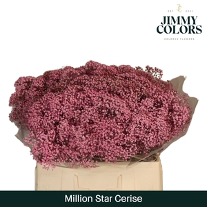 Gyps Million Star L60 Cerise