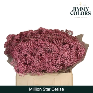 Gyps Million Star L60 Cerise
