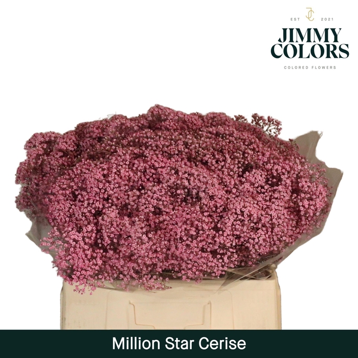 <h4>Gyps Million Star L60 Cerise</h4>