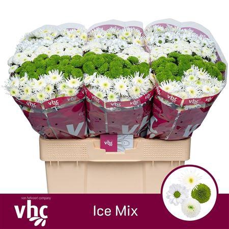 <h4>Chr S Mix Ice</h4>