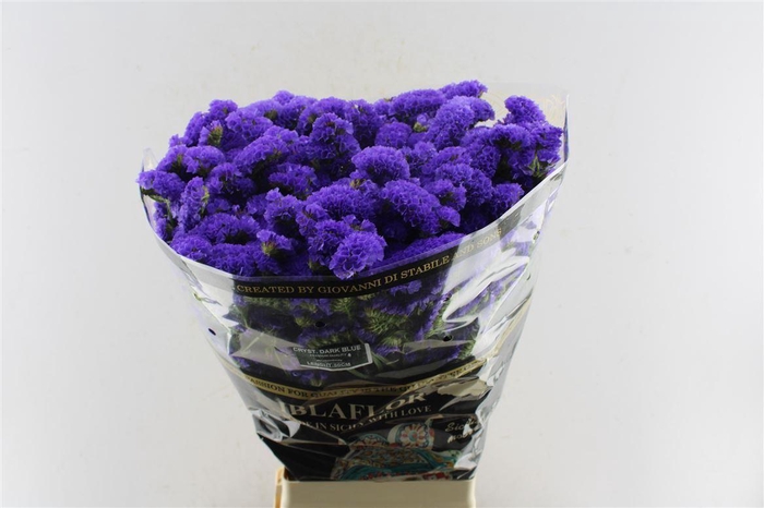 <h4>Lim S Crystal Dark Blue</h4>