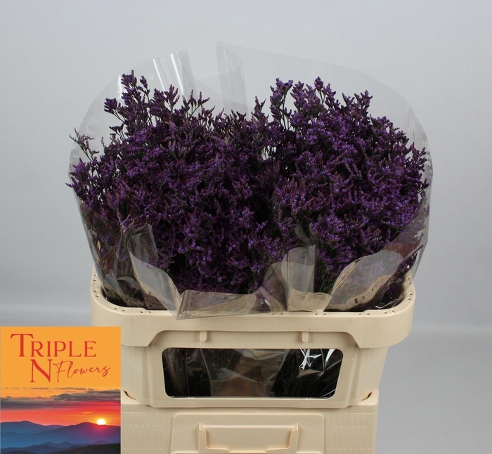 <h4>LIM SAF DARK BLUE</h4>