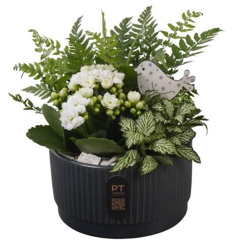 <h4>PTIB5112 Arrangement Indoor in keramiek schaal</h4>
