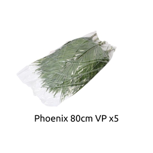 Phoenix 80 V P X5
