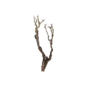 Syringa Branch Super Pirenne