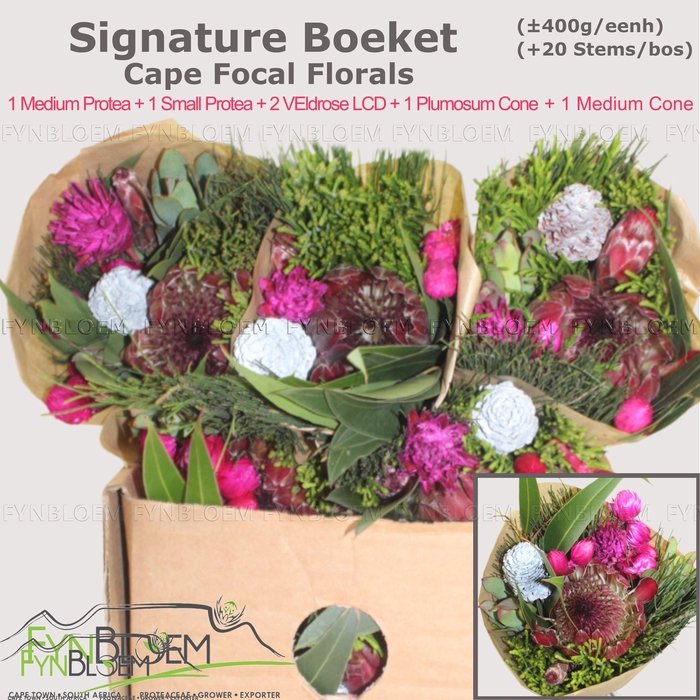 <h4>PROTEA PER BOS</h4>