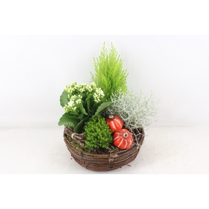 arr4 Outdoor VL - Riet mand rond