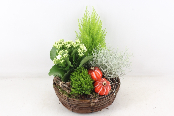 <h4>arr4 Outdoor VL - Riet mand rond</h4>