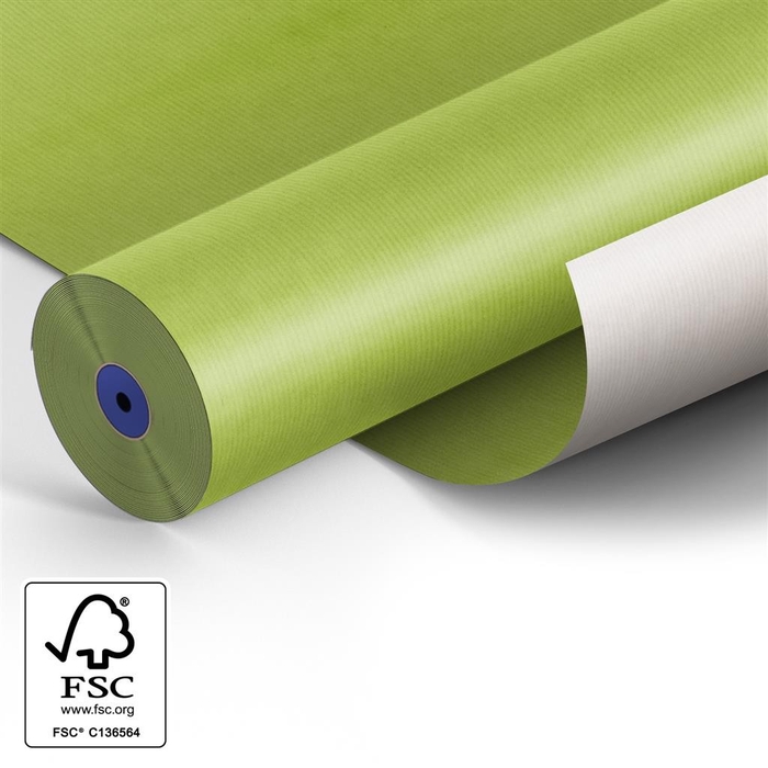 <h4>ROL PAPIER KRAFT L.GROEN 60</h4>