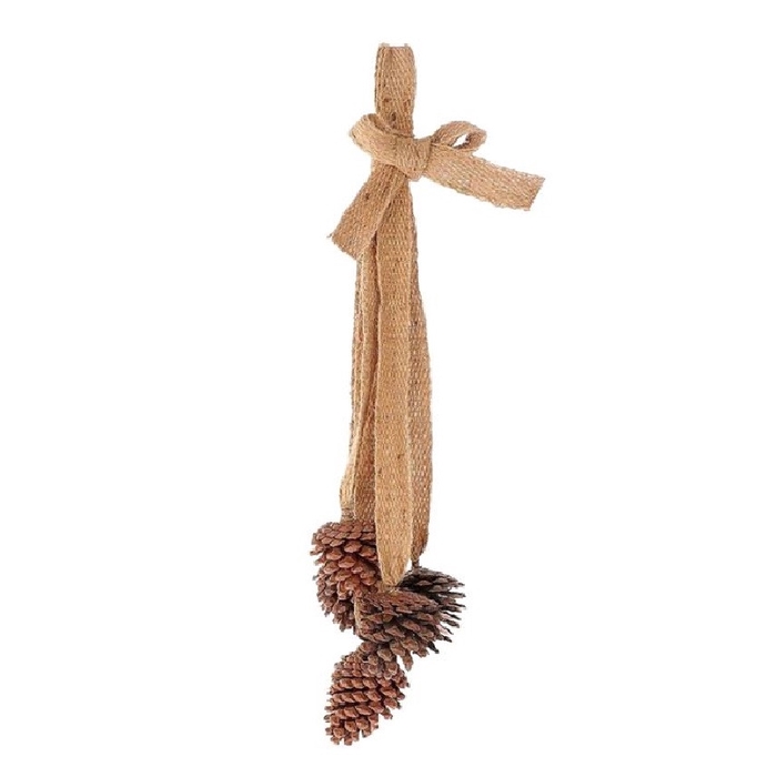 <h4>Dennenappels Hanger pinecone 60cm</h4>