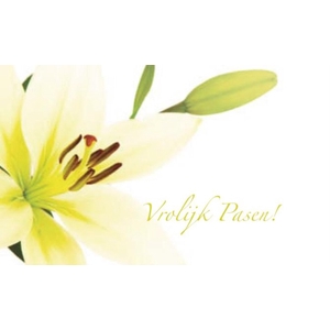 BLOEMENKAARTJE - Vrolijk Pasen - 9*5.5cm - 50pcs