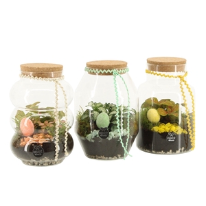 70887: Easter terrarium