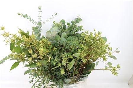 <h4>EUC OV BLAD BS</h4>