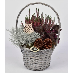 Wilg hengselmand 24 cm