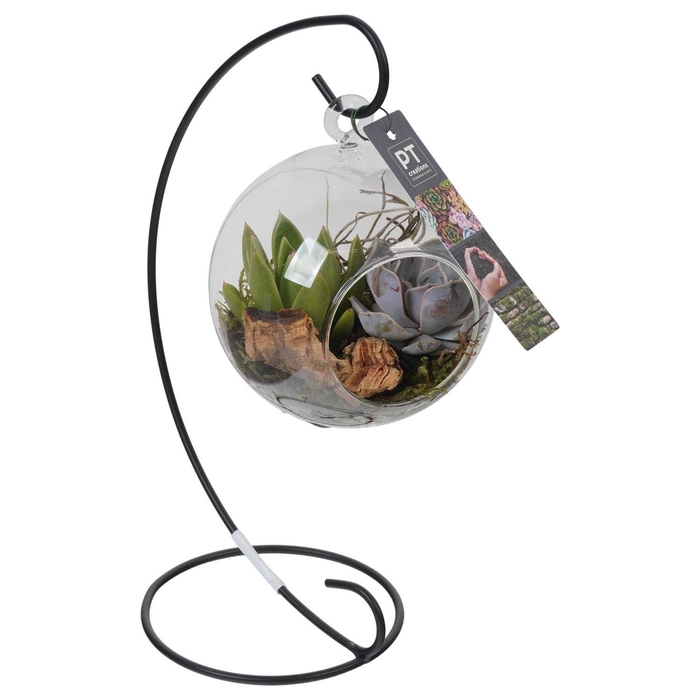 <h4>PTGIG2113 Arrangement Greens in glass in glazen bol met metalen standaard</h4>