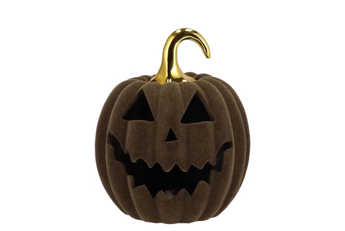 <h4>Autumn Flock Scottish Green Pumpkin Face Led 17x17x21cm</h4>