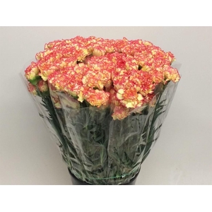 Di St Lorca Yellow/orange