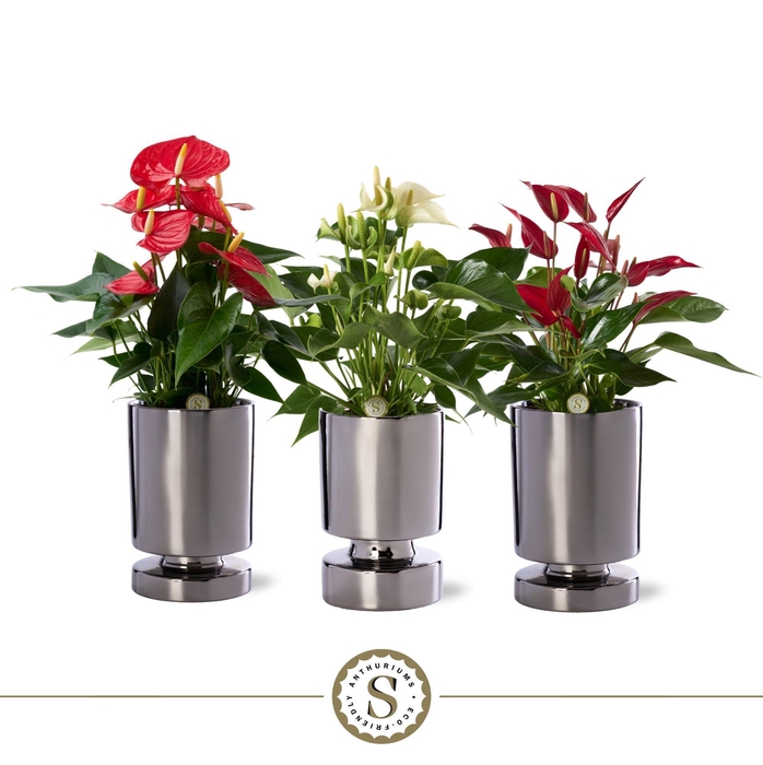 <h4>Stockholm Silver Keramiek 12cm Mix</h4>