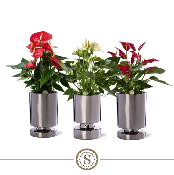 <h4>Stockholm Silver Keramiek 12cm Mix</h4>