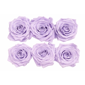 Ro Pres Classic Mauve