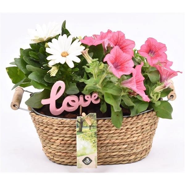 <h4>Touw met zink schaal ovaal 21x14cm</h4>