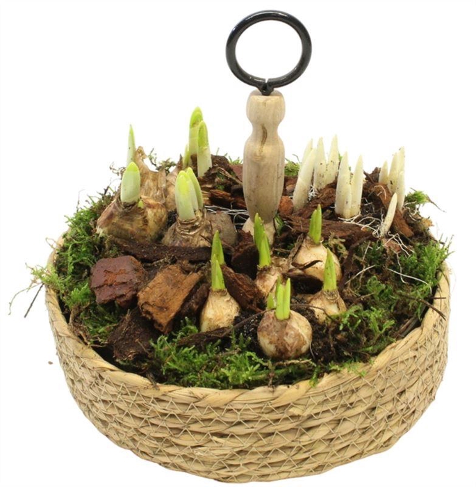 0360 MAND ETAGAIRE TETE