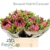 Bouquet Hybrid Carousel