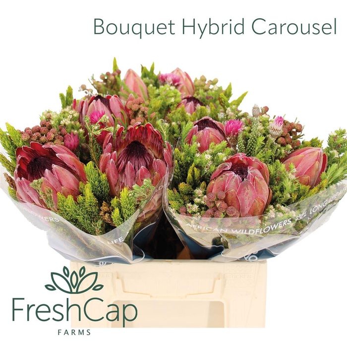 <h4>Bouquet Hybrid Carousel</h4>