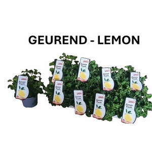 PEL GEM WELRIEKEND